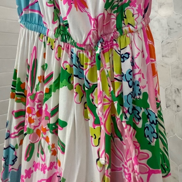 Lily Pulitzer Neon Maxi Bandeau Dress - Picture 4 of 4